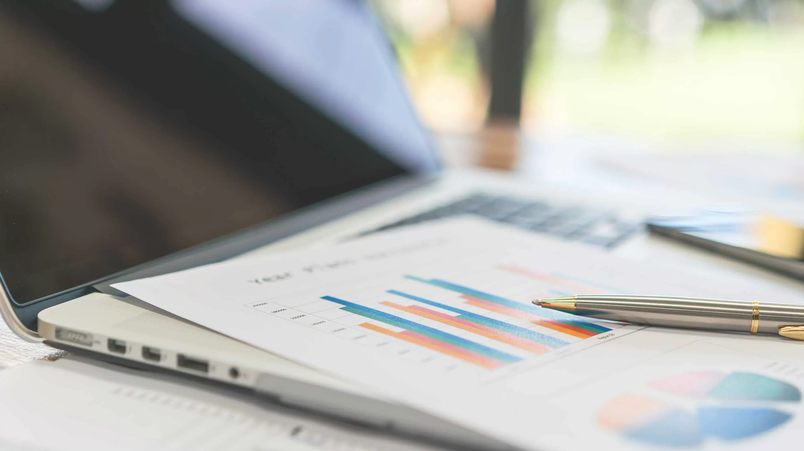 accounting information index data annual
